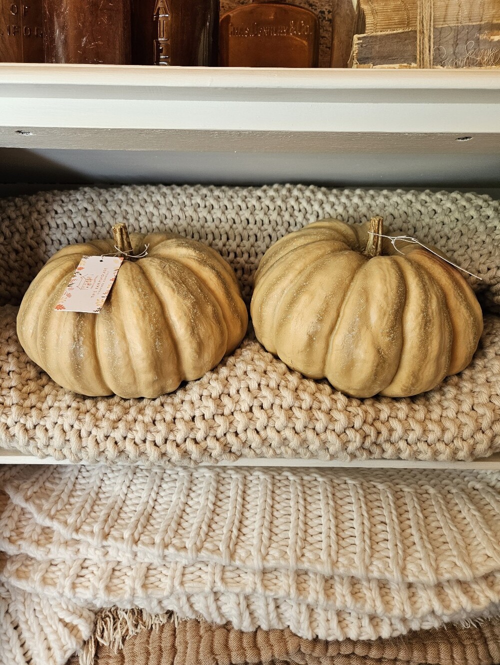 Rachel Ashwell Tan/Cream Decorative Resin Pumpkins Set Of 2